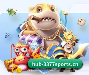 3377体育的内容发展方向 - 长期内容价值积累